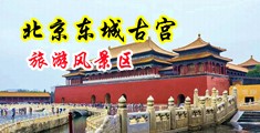 操逼流水哔高清中国北京-东城古宫旅游风景区